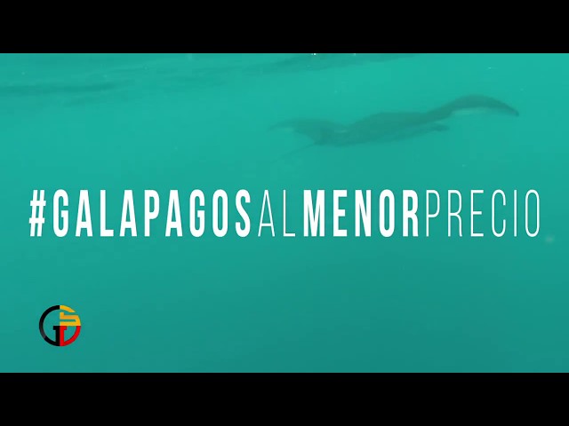 Galápagos al menor precio