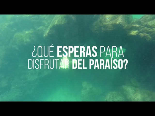 ¿Qué esperas para disfrutar del paraíso?