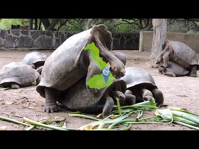 Grupo San Vicente Galapagos ¿Quienes Somos?