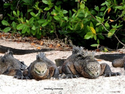 Tour de Bahía Santa Cruz