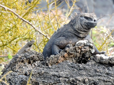 Tour de Bahía Santa Cruz