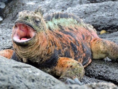Tour de Bahía Santa Cruz