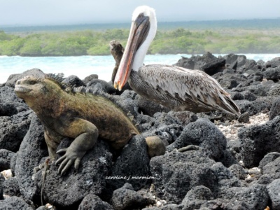 Tour de Bahía Santa Cruz