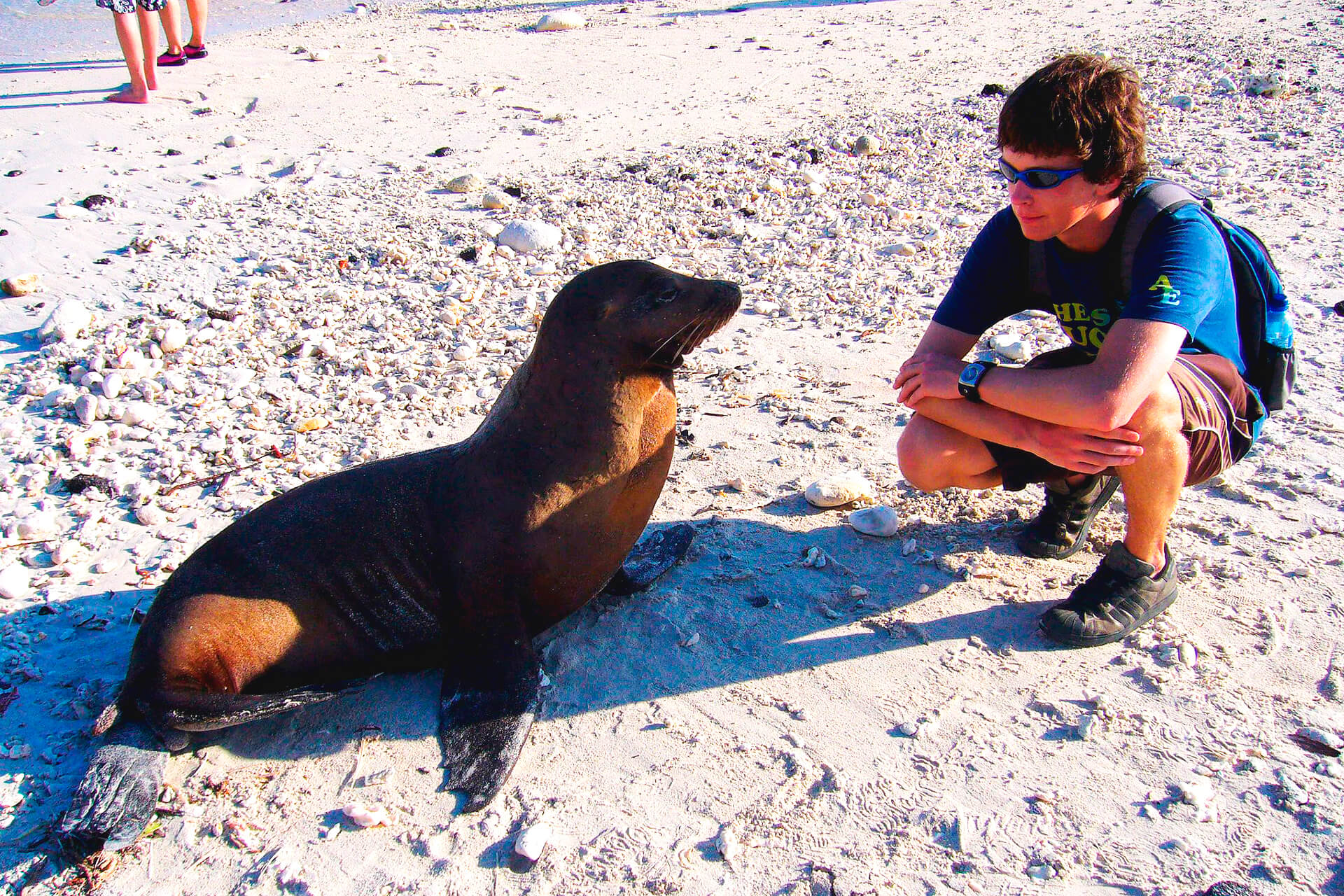 galapagos_lobo_marino_con_turista