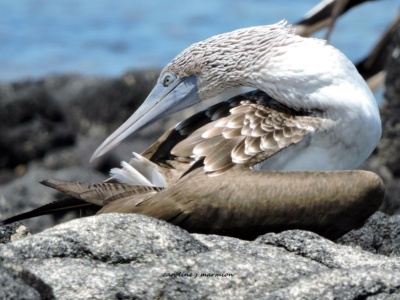Tour de Bahía Santa Cruz