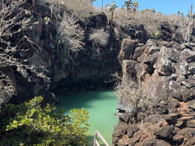 Tour de Bahía Santa Cruz