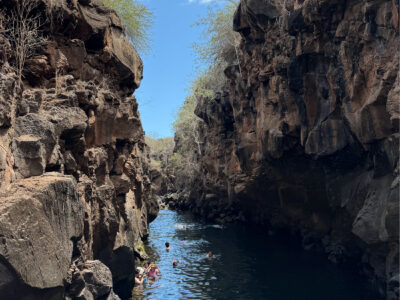 Tour de Bahía Santa Cruz