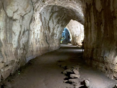 Parte Alta Santa Cruz – Rancho Primicias y Túneles de Lava