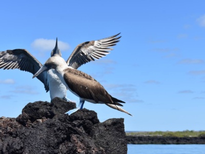 Mágico Isabela 5D4N