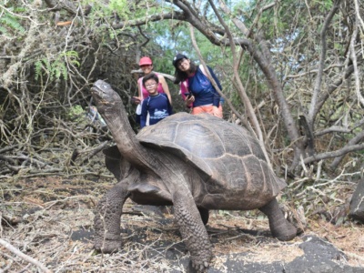 Mágico Isabela 5D4N