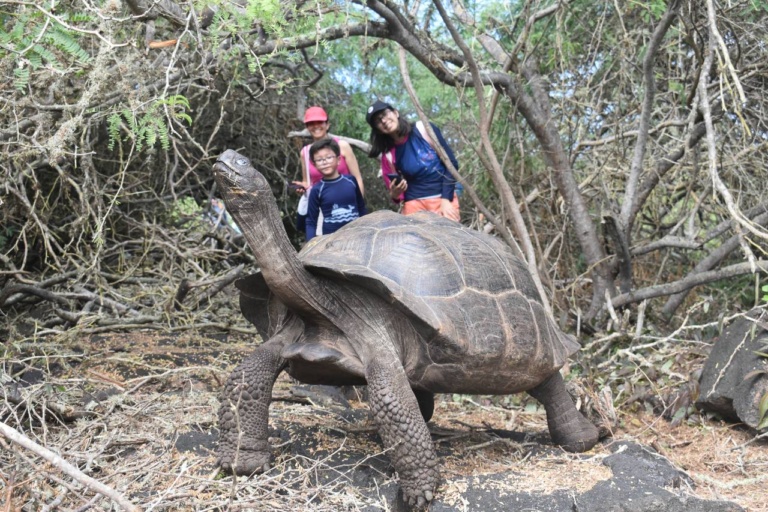 Actividades en Galápagos (Isla Isabela, tortugas Galápagos) 5 días y 4 noches