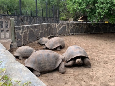 Mágico Isabela 4D3N