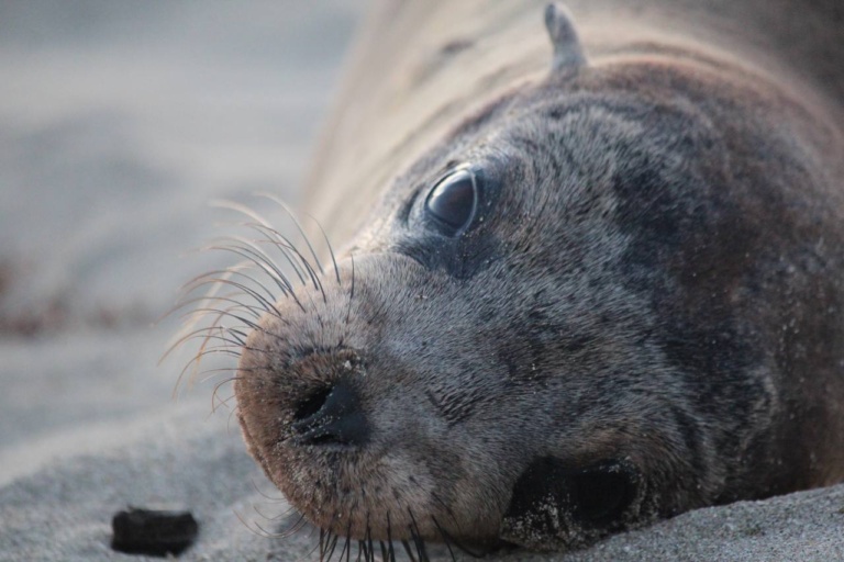 Isabela 4 días 3 noches
