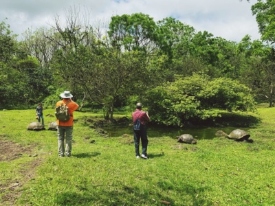 Parte Alta Santa Cruz – Rancho Primicias y Túneles de Lava