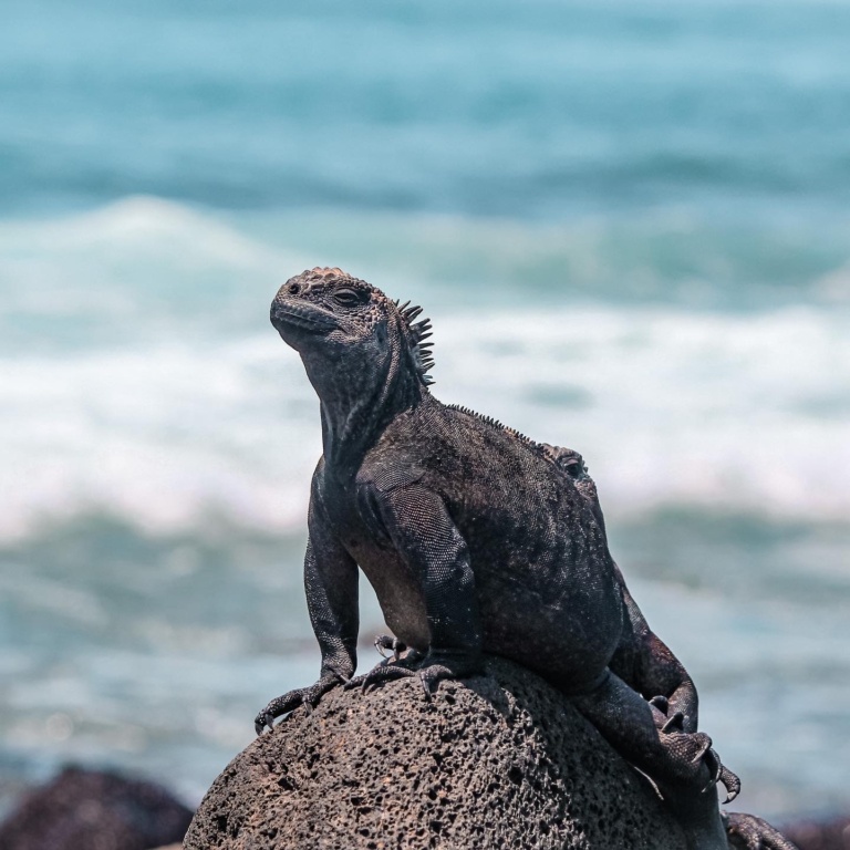 1899936F-2B70-45A2-8D24-4228790FB4BF