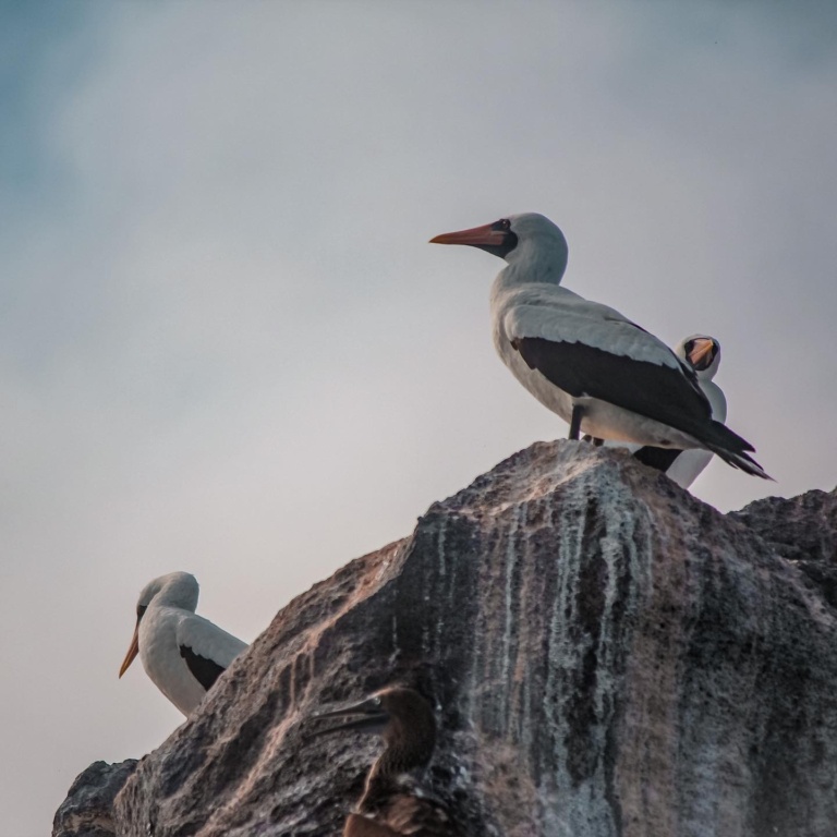 67209940-134E-468E-A137-74BD1FED2CF0