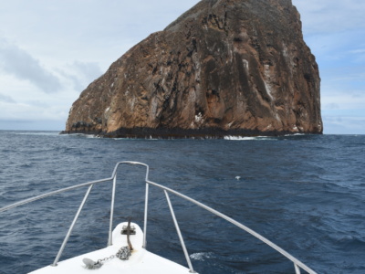 The Pinzon Island Tour