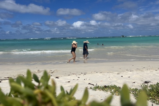 Tour a Isla Santa Fé - galápagos