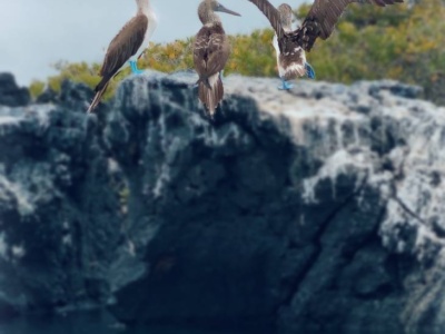 MAGICAL ISABELA 4D3N