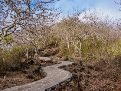 Breeding Center, Tijeretas Hill and Carola Beach Tour