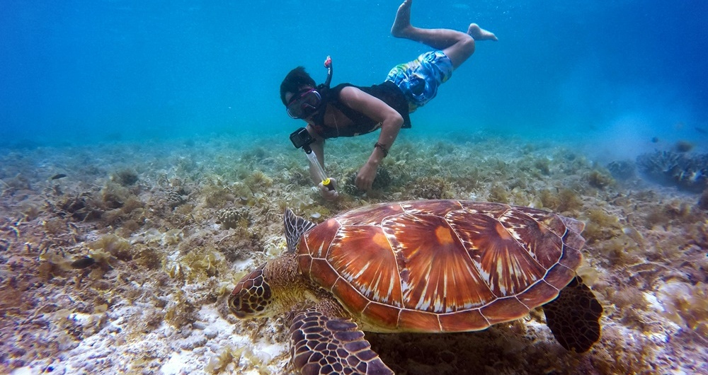 Guía de esnórquel en Galápagos