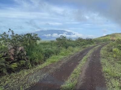 Tour Minas de Azufre
